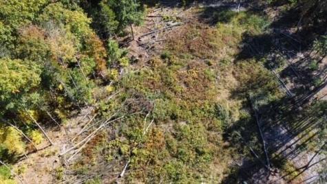 Lot# 0 Jasper Drive Brunswick ME 04011