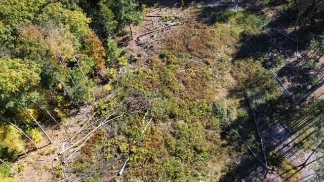 Lot# 0 Jasper Drive Brunswick ME 04011