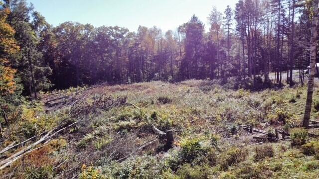 Lot# 0 Jasper Drive Brunswick ME 04011