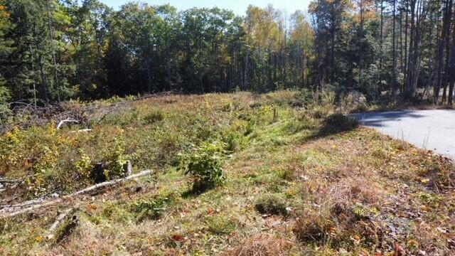 Lot# 0 Jasper Drive Brunswick ME 04011