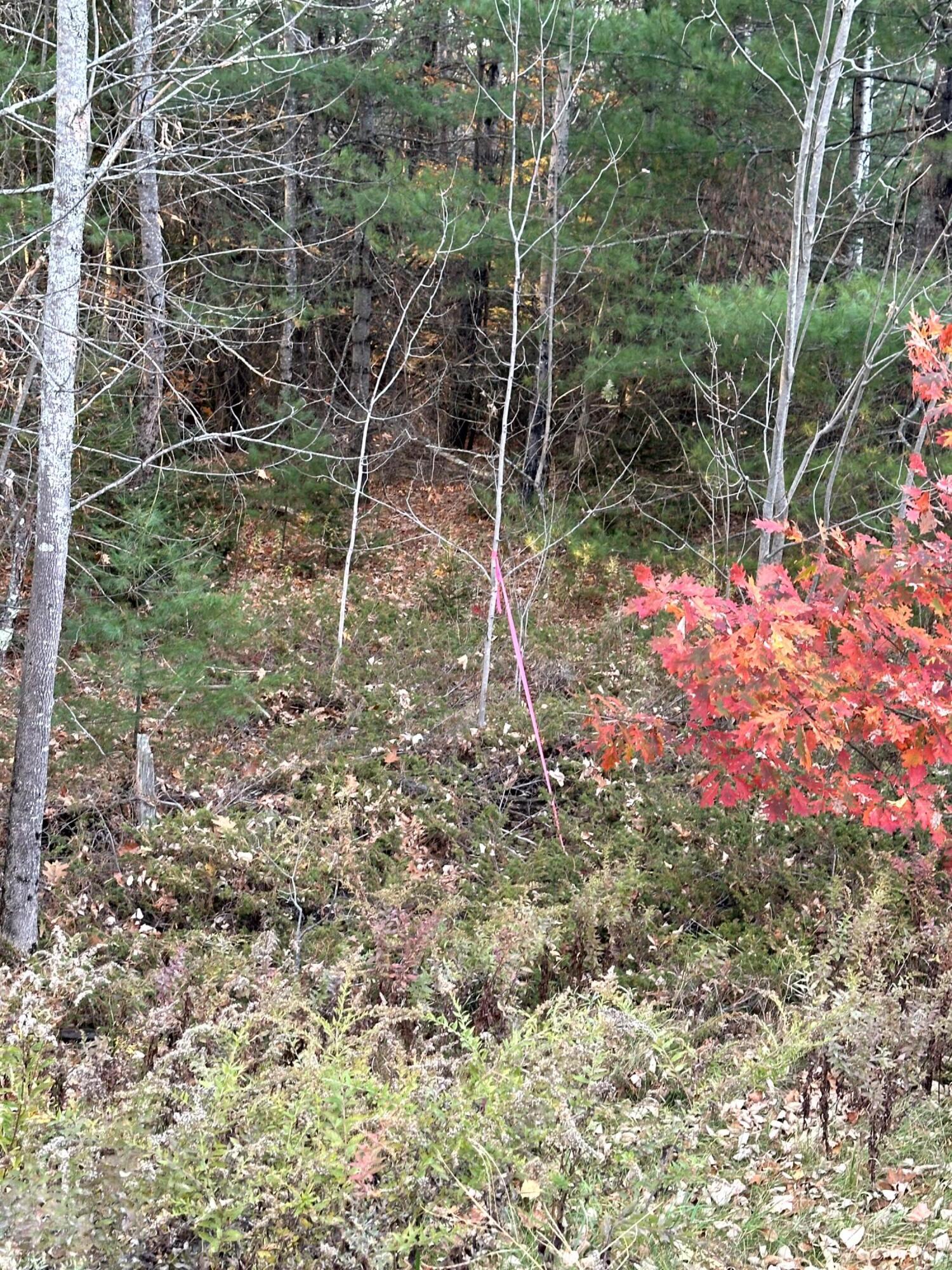 Map 14 Lot 5 Unity Road Albion ME 04910