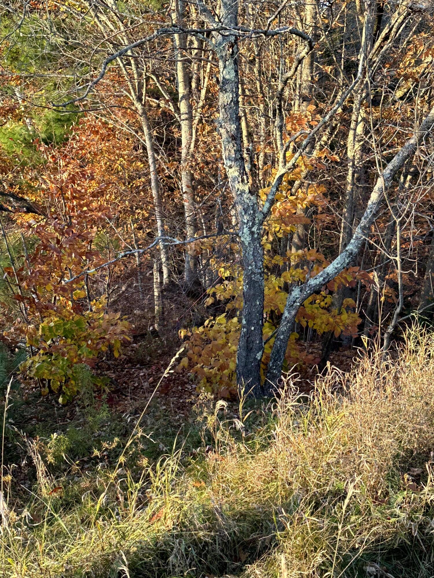 Map 14 Lot 5 Unity Road Albion ME 04910