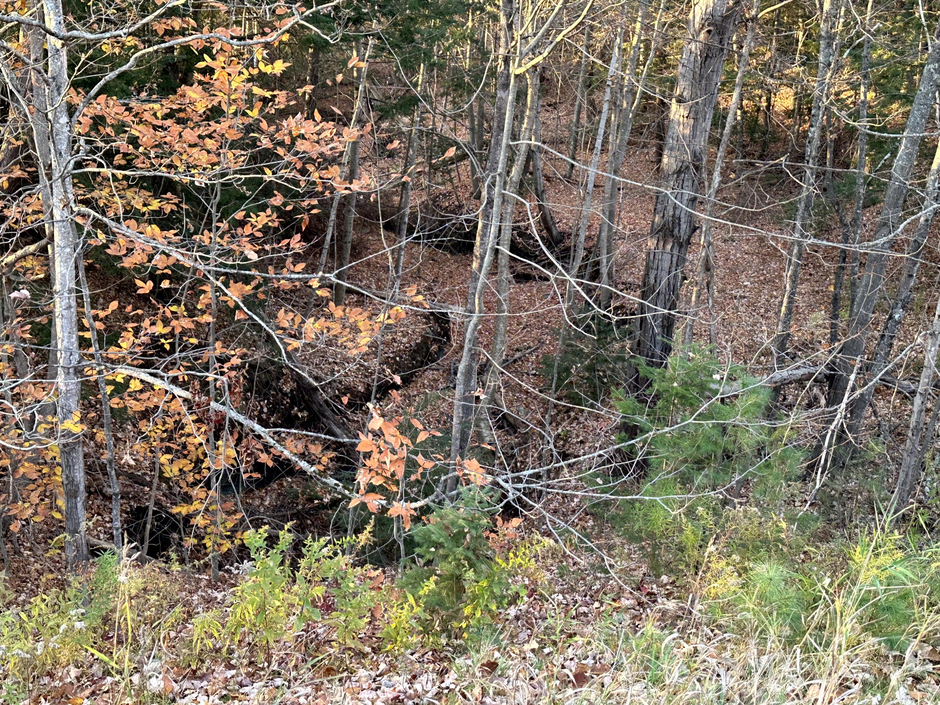 Map 14 Lot 5 Unity Road Albion ME 04910