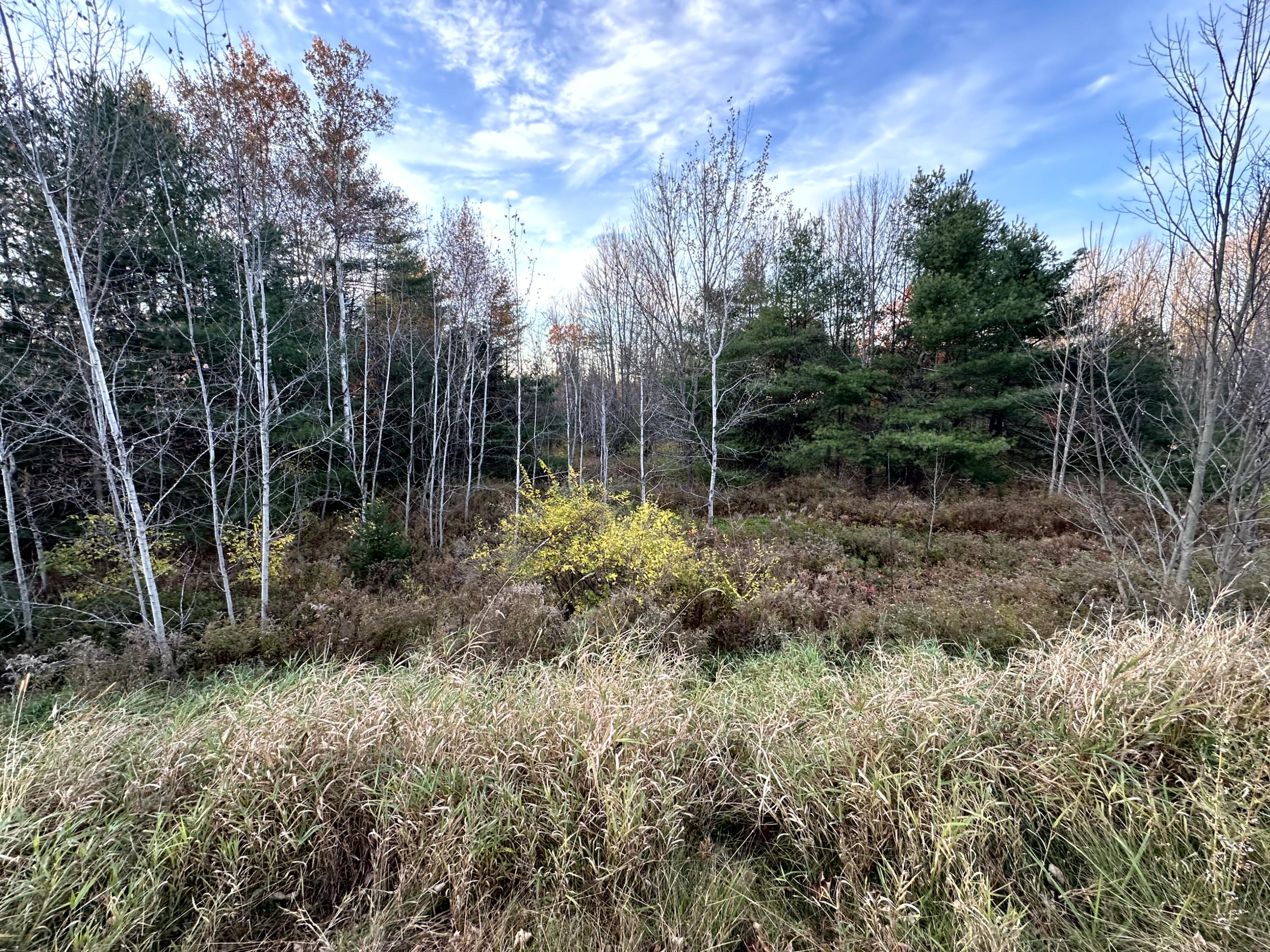 Map 14 Lot 5 Unity Road Albion ME 04910