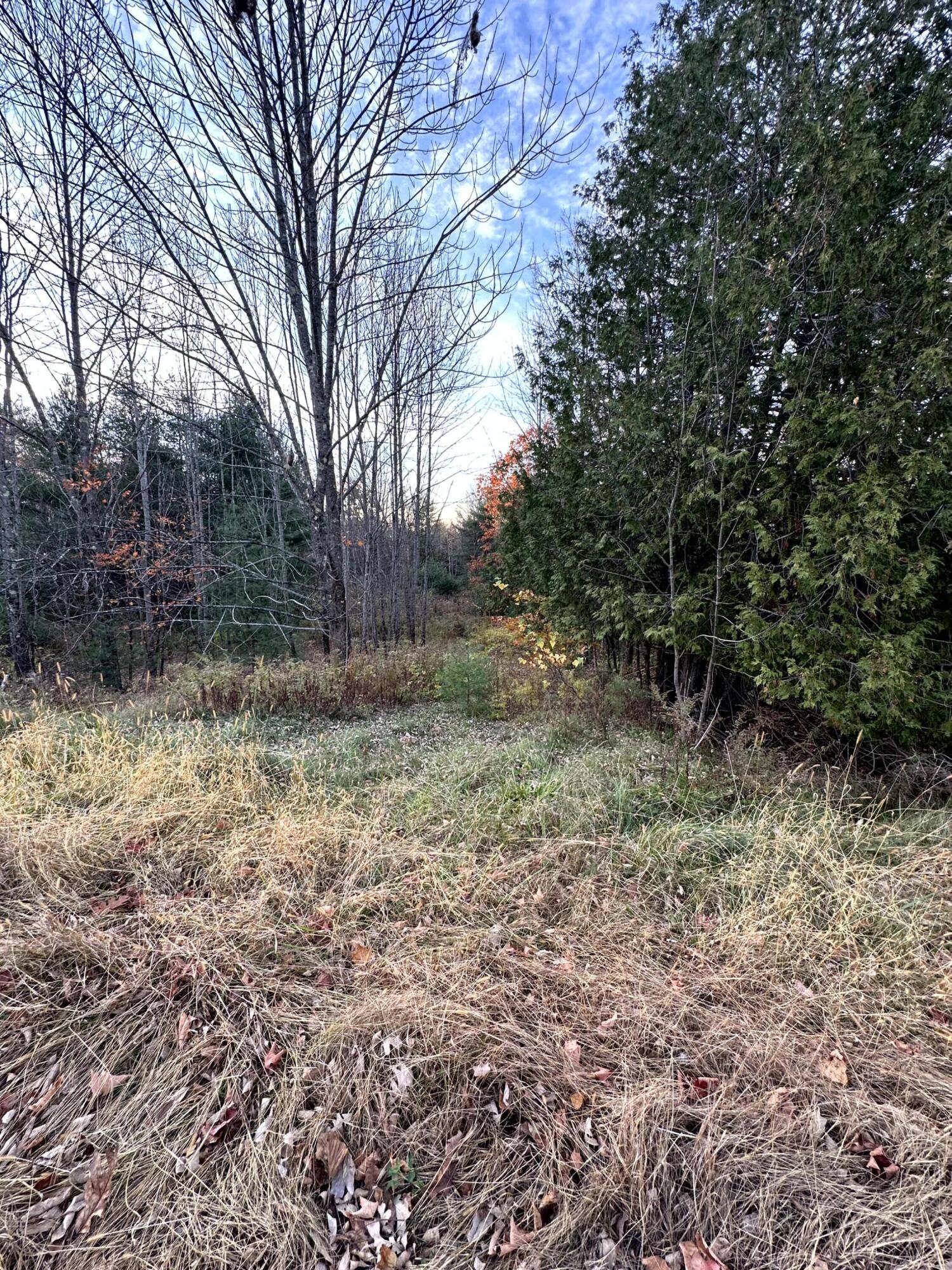 Map 14 Lot 5 Unity Road Albion ME 04910