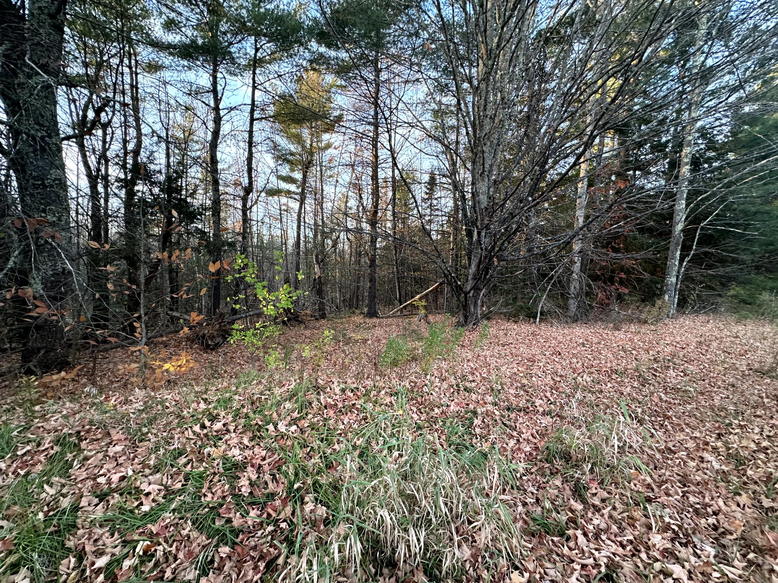 Map 14 Lot 5 Unity Road Albion ME 04910
