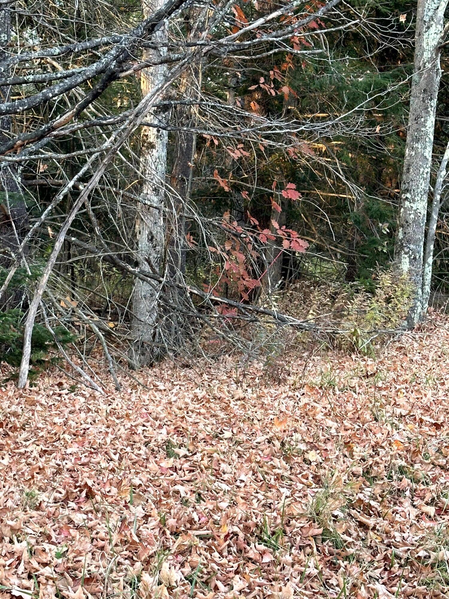 Map 14 Lot 5 Unity Road Albion ME 04910