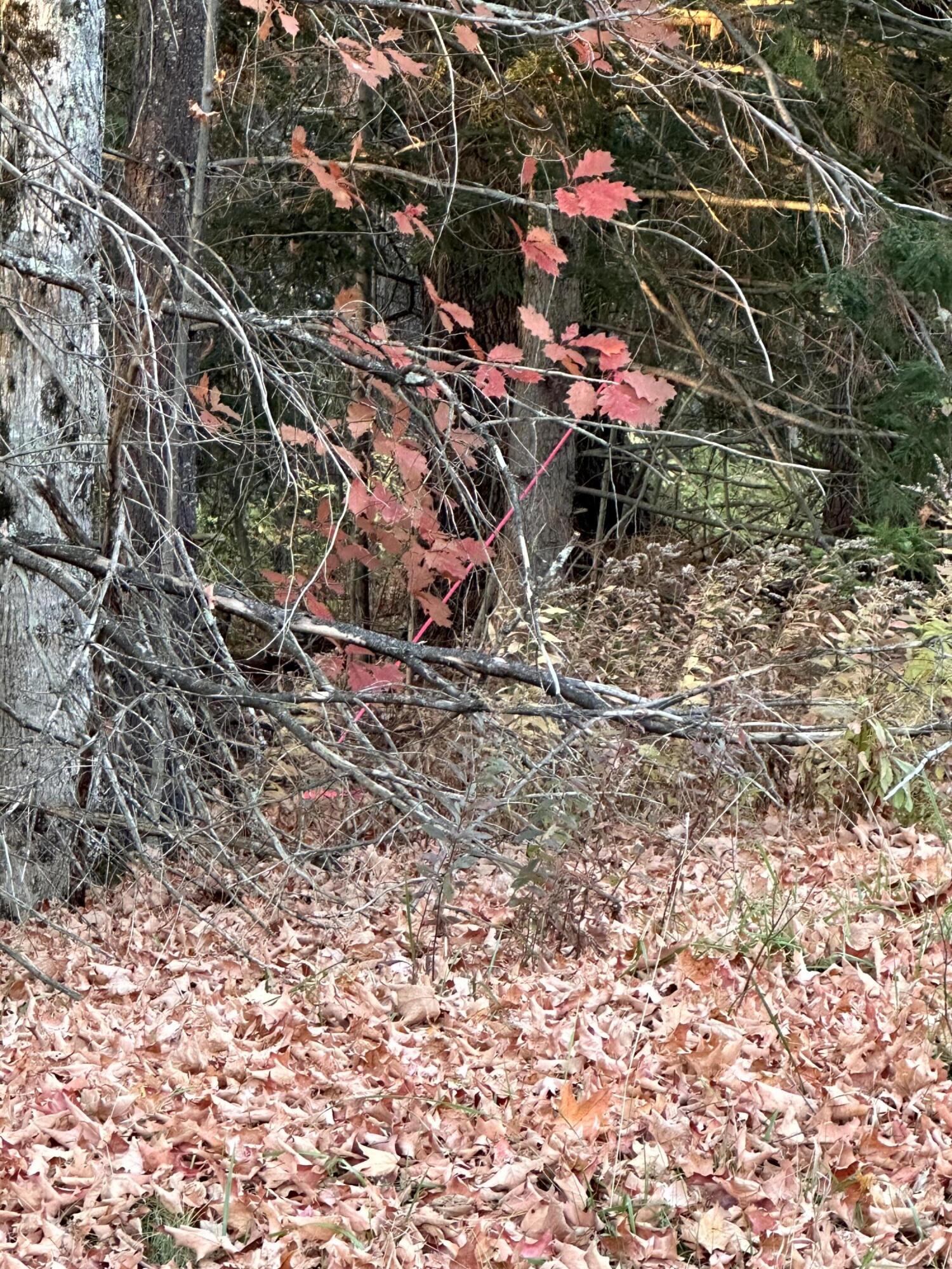 Map 14 Lot 5 Unity Road Albion ME 04910