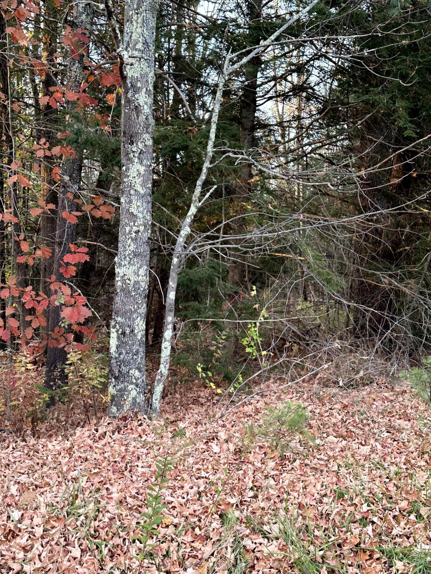 Map 14 Lot 5 Unity Road Albion ME 04910