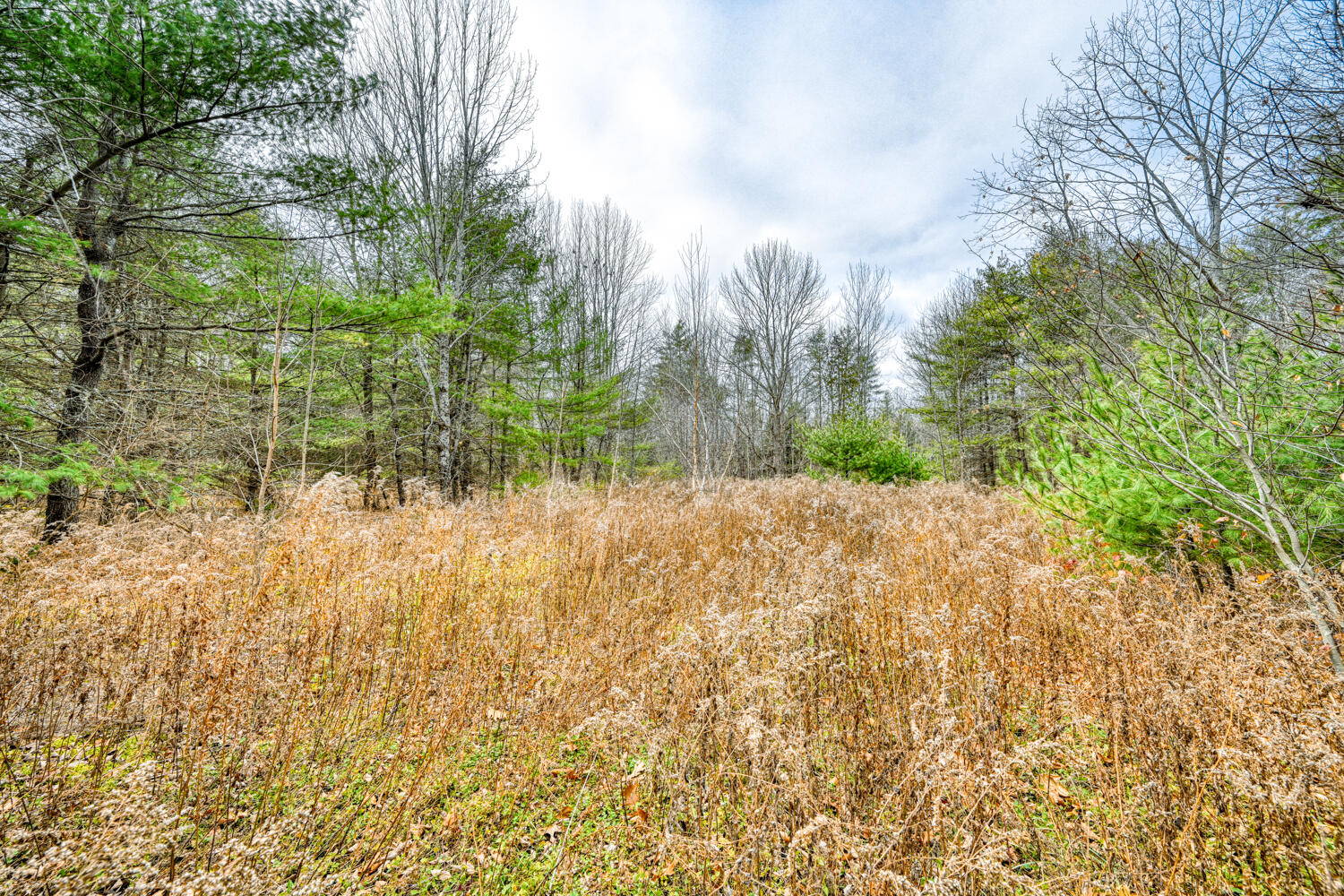 Map 14 Lot 5 Unity Road Albion ME 04910