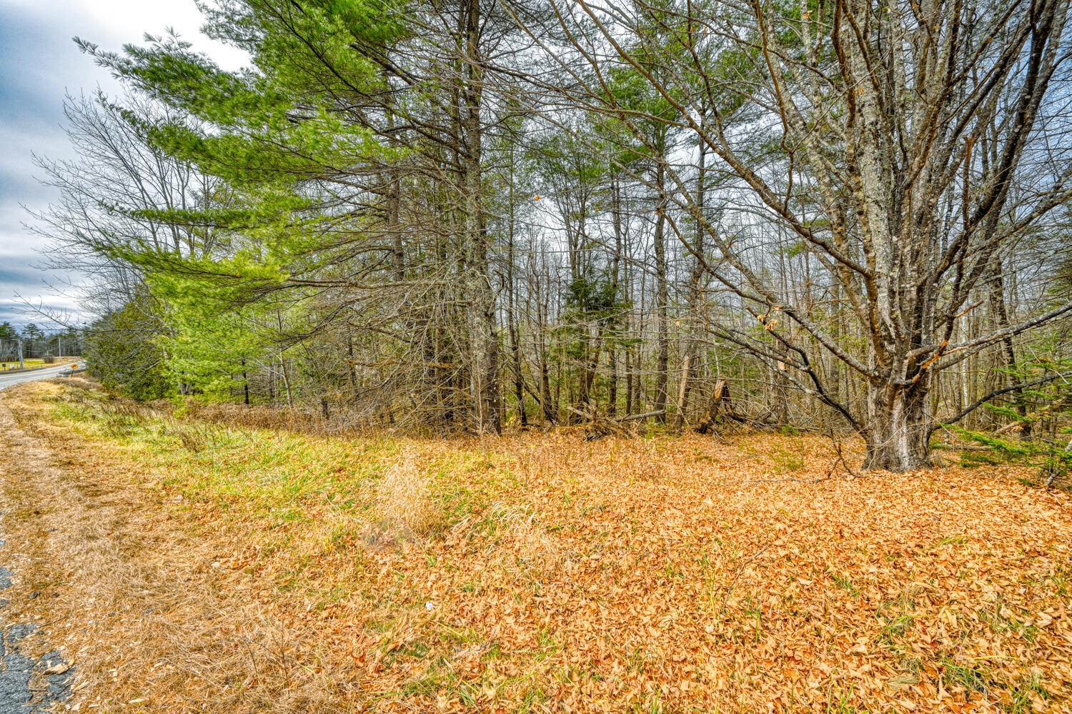 Map 14 Lot 5 Unity Road Albion ME 04910