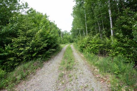 3 Salmon Point Lane Enfield ME 04493