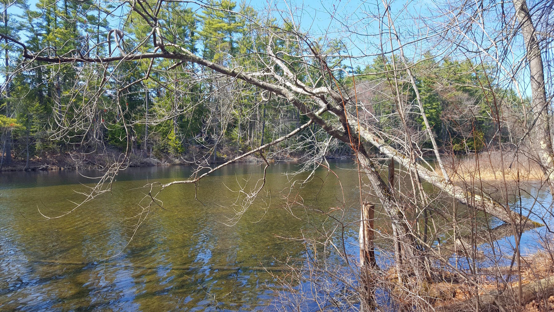 594 River Road Windham ME 04062