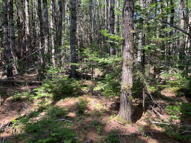 Lot 005 Dority Farm Road Mariaville ME 04605