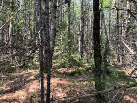 Lot 005 Dority Farm Road Mariaville ME 04605