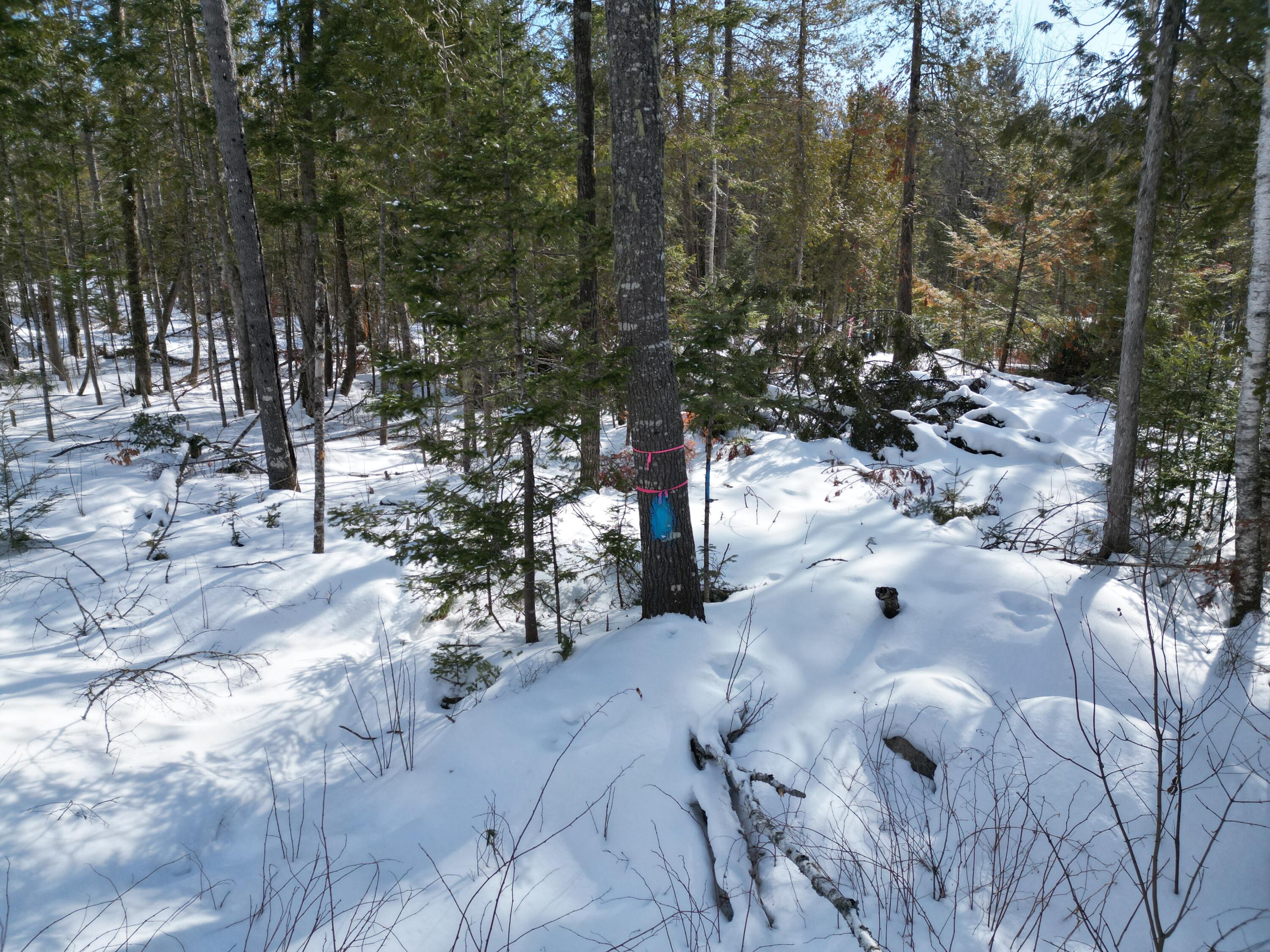 8 Twin Springs Lane Lincoln ME 04457