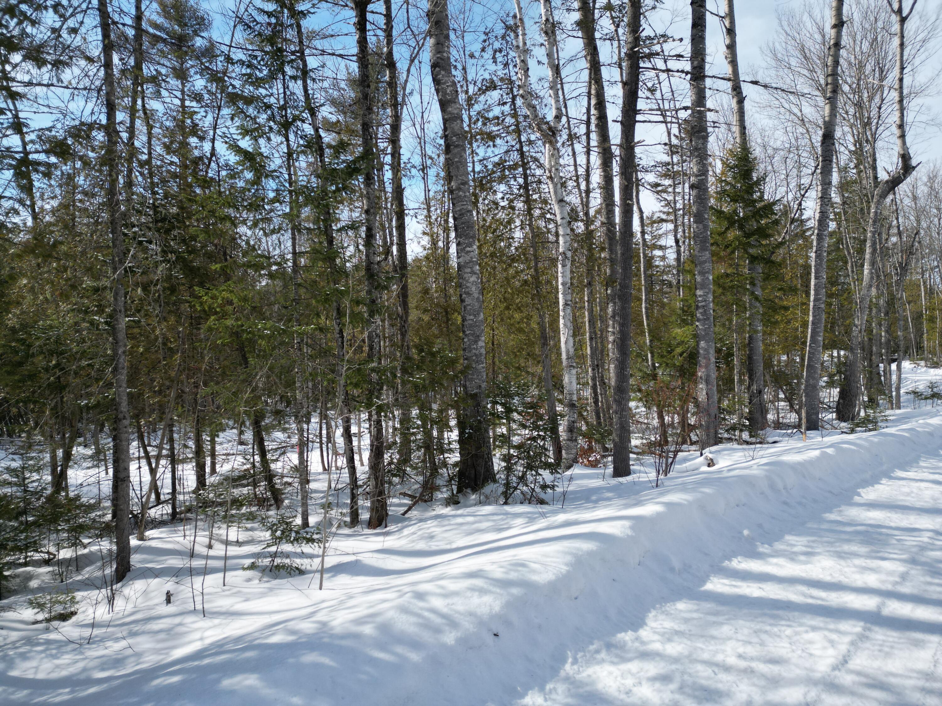 8 Twin Springs Lane Lincoln ME 04457
