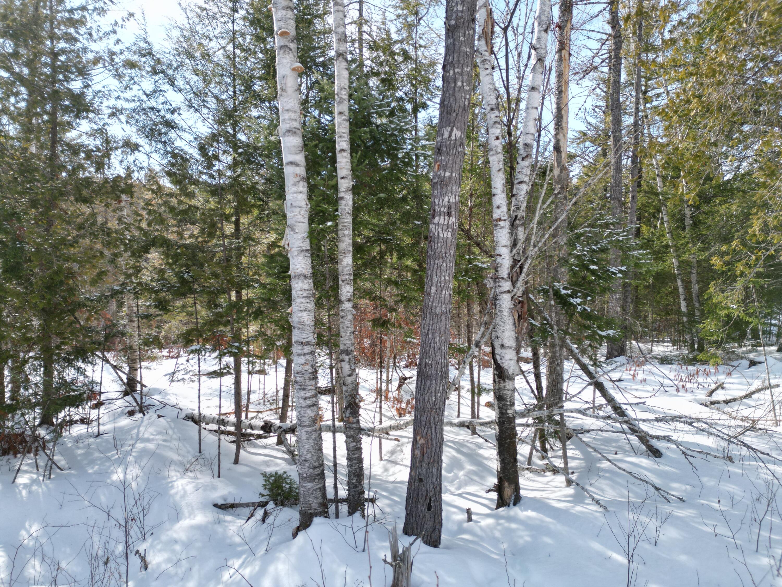 8 Twin Springs Lane Lincoln ME 04457