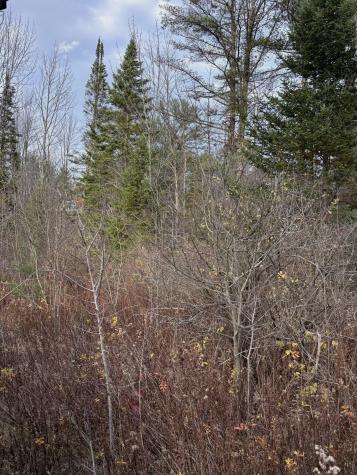 Tbd Log Cabin Road Kennebunkport ME 04046