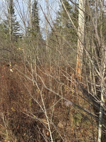 Tbd Log Cabin Road Kennebunkport ME 04046