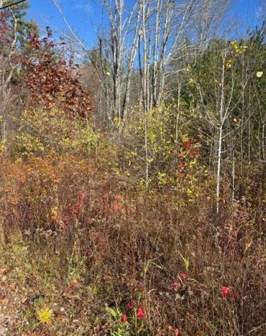 Tbd Log Cabin Road Kennebunkport ME 04046