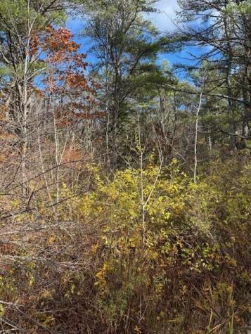 Tbd Log Cabin Road Kennebunkport ME 04046