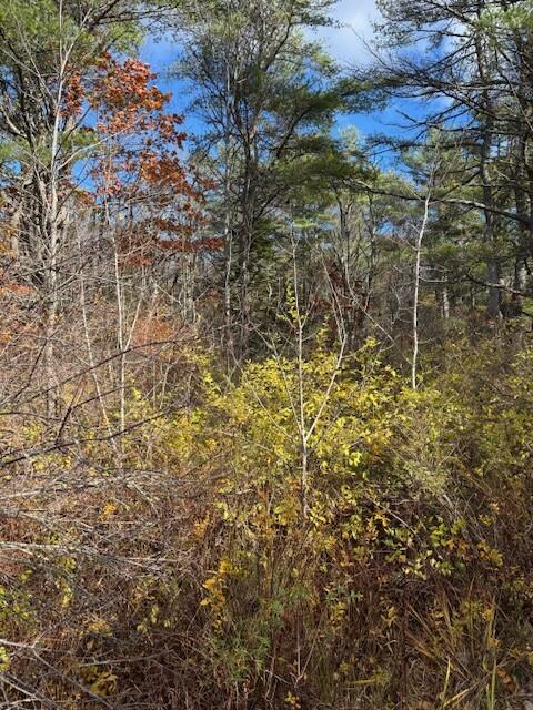 Tbd Log Cabin Road Kennebunkport ME 04046