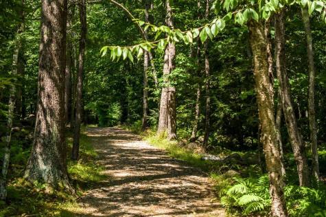 R11-063 Shapleigh Road Lebanon ME 04027