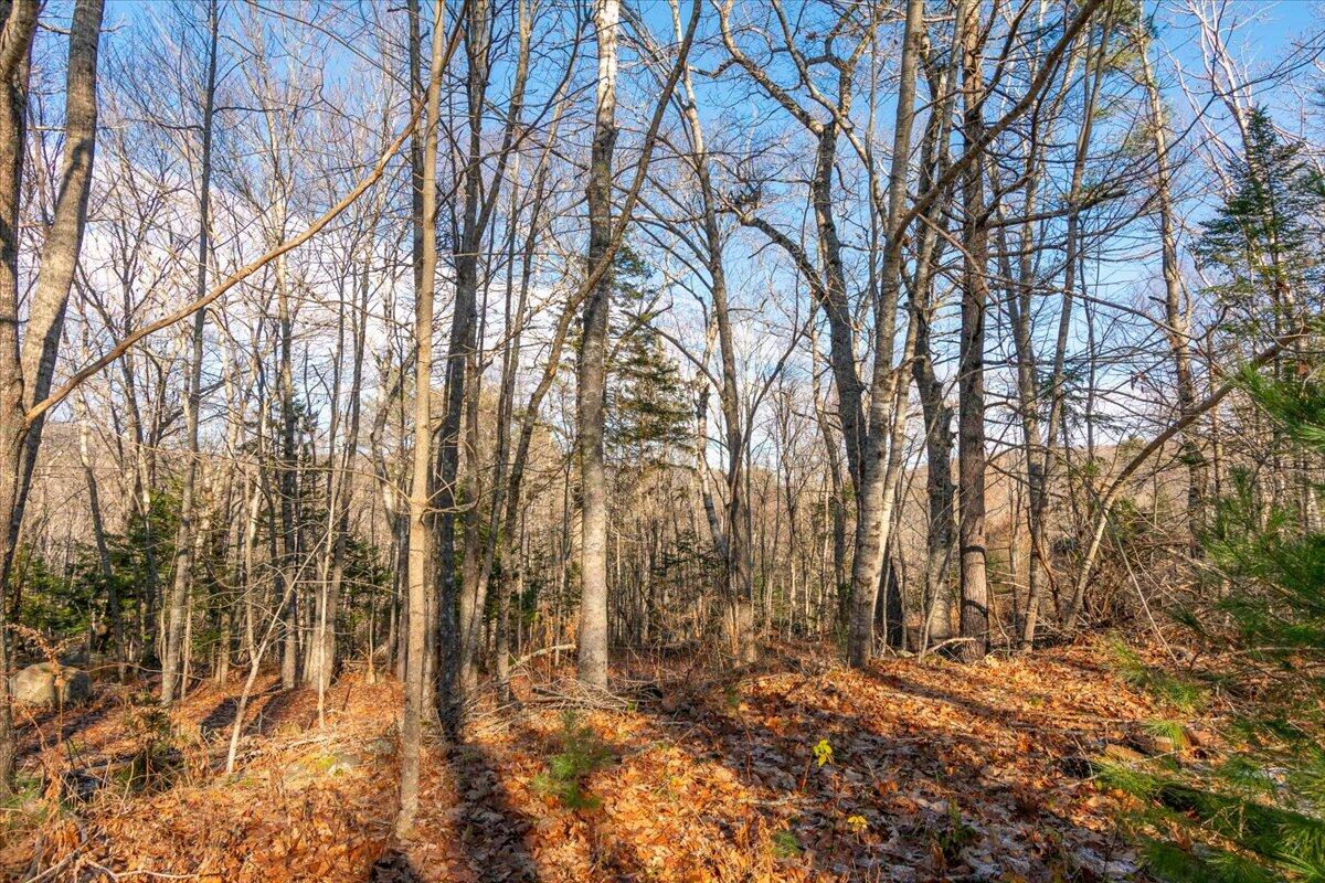 Map 11 Lot 50-2 Malachi Way Rockport ME 04856