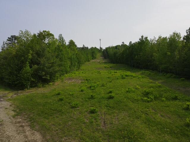 Lot 1 Mt. Jefferson Heights Lee ME 04455