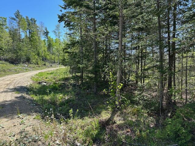 Lot 1 Mt. Jefferson Heights Lee ME 04455