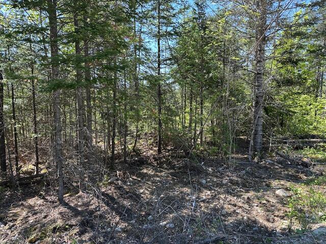 Lot 1 Mt. Jefferson Heights Lee ME 04455