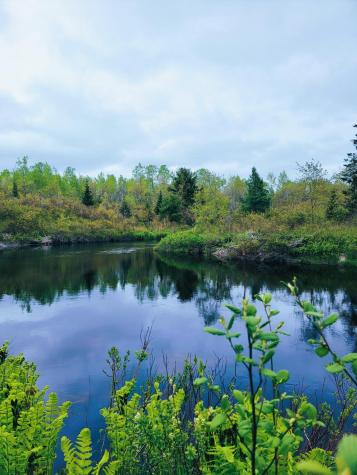 Lot 46 Lane Road Cherryfield ME 04622