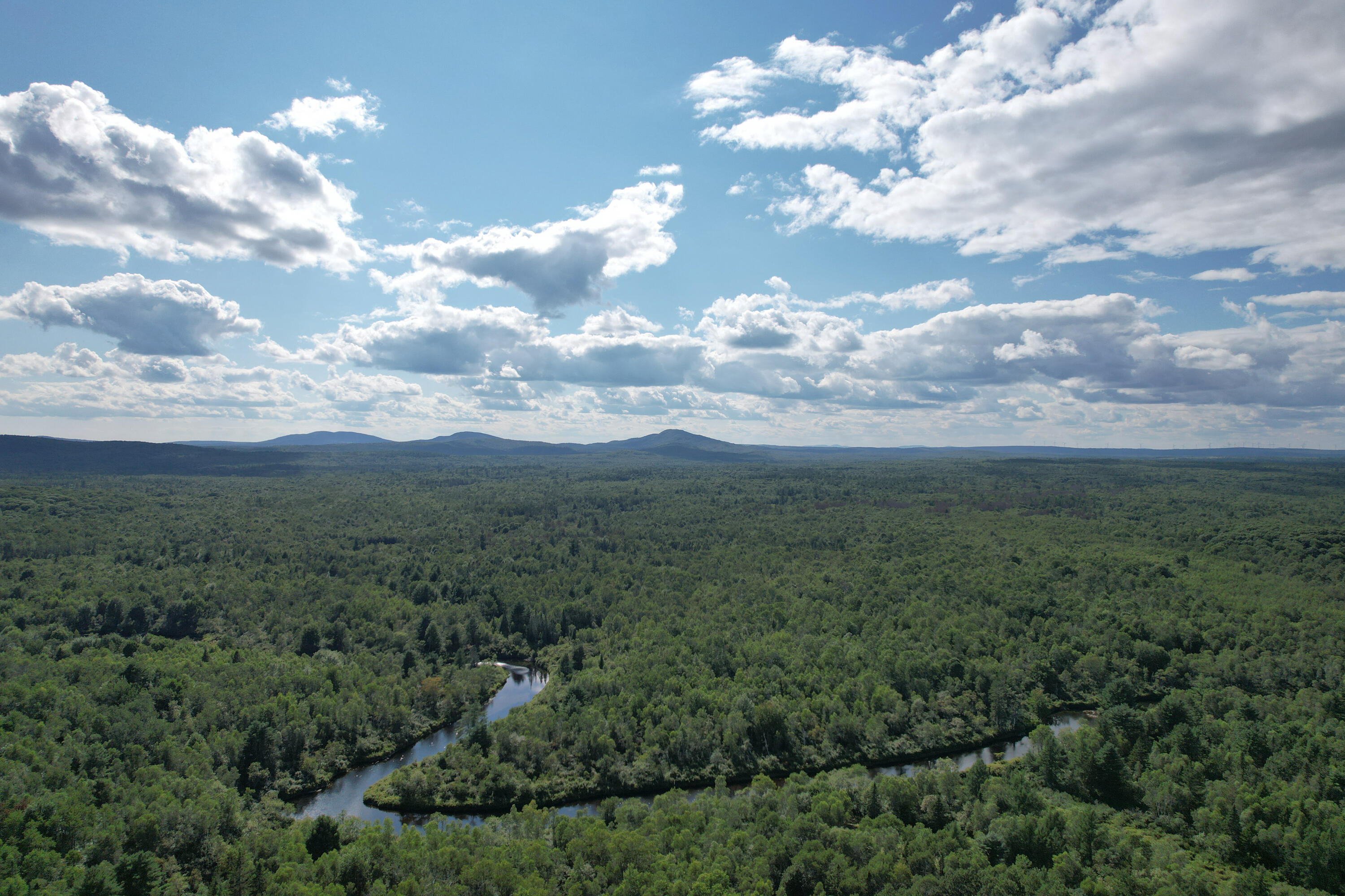 Lot 46 Lane Road Cherryfield ME 04622