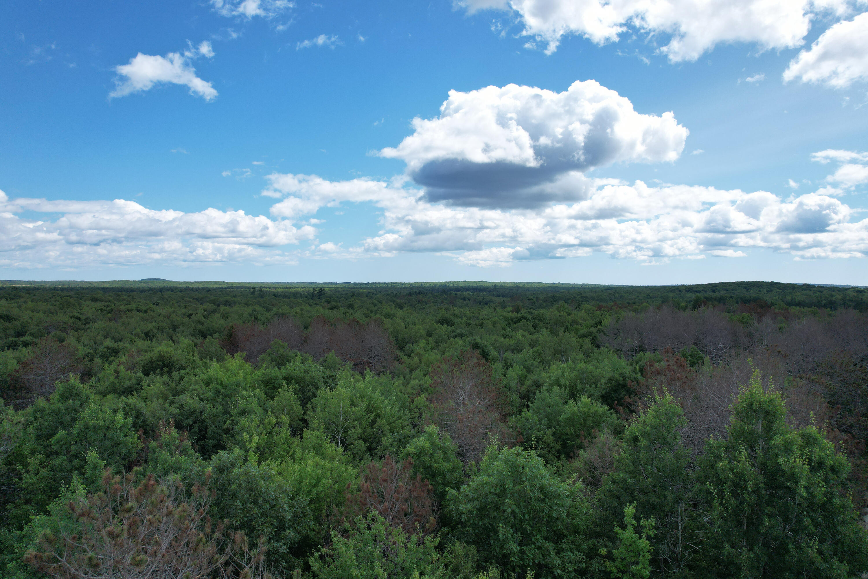 Lot 46 Lane Road Cherryfield ME 04622