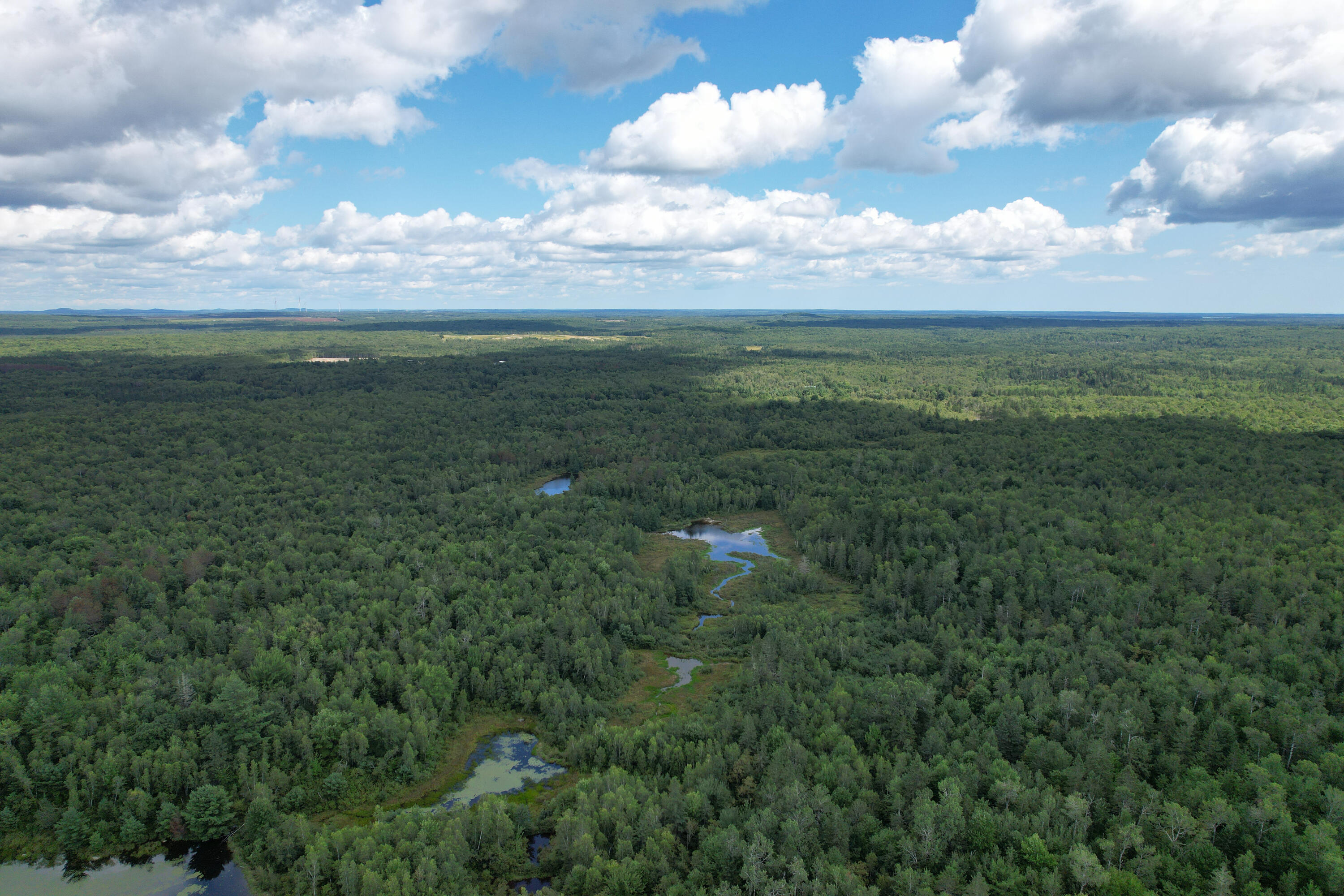 Lot 46 Lane Road Cherryfield ME 04622