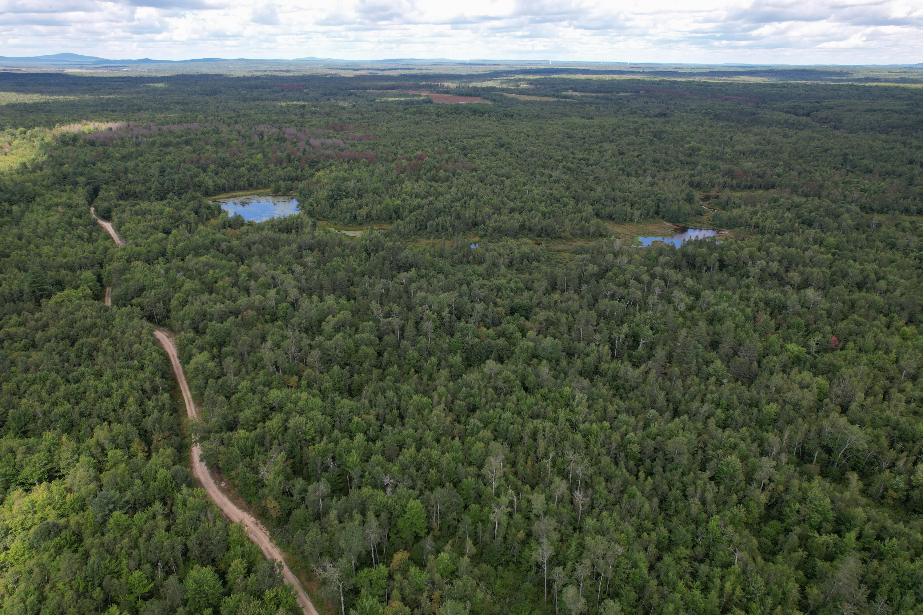 Lot 46 Lane Road Cherryfield ME 04622