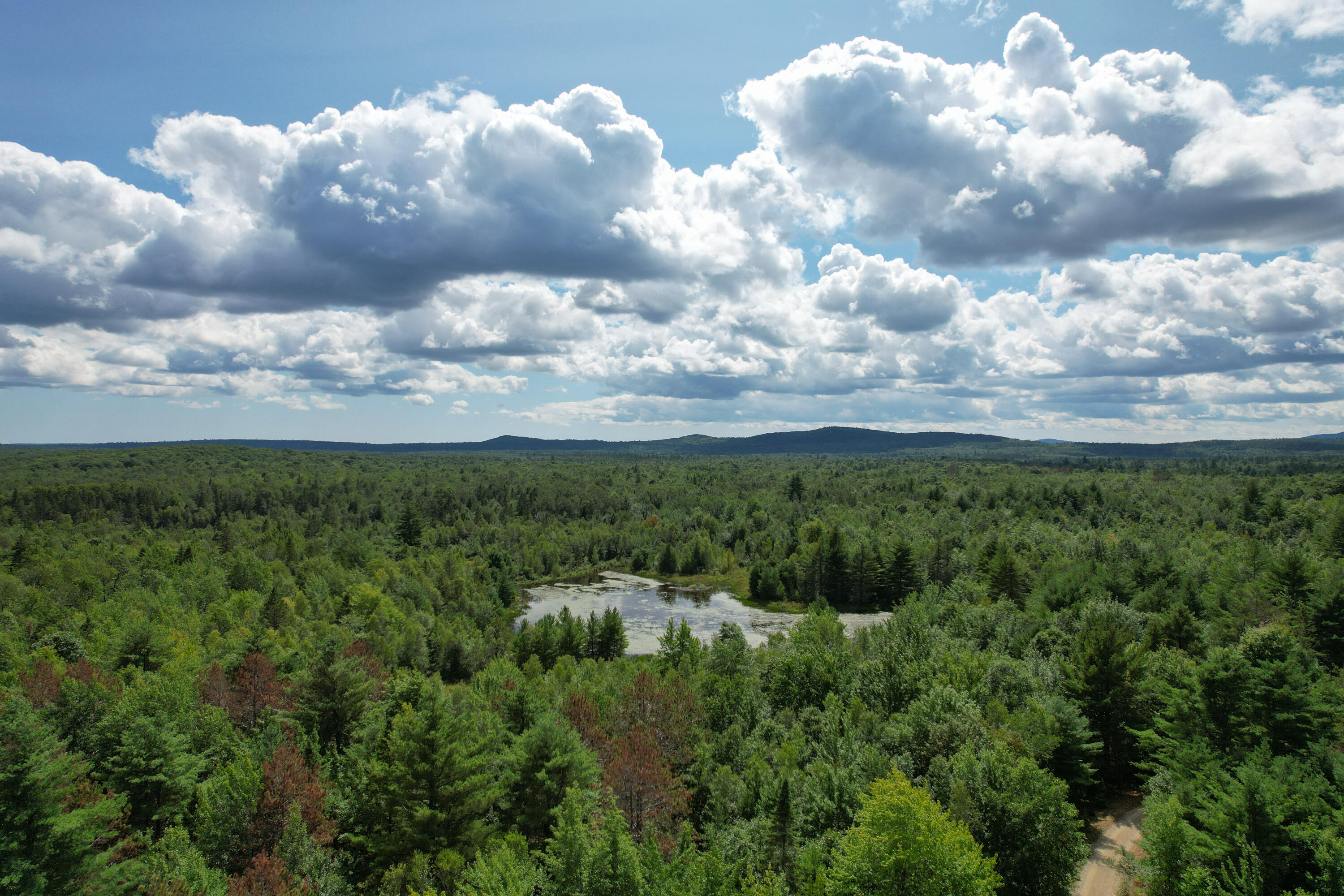 Lot 46 Lane Road Cherryfield ME 04622