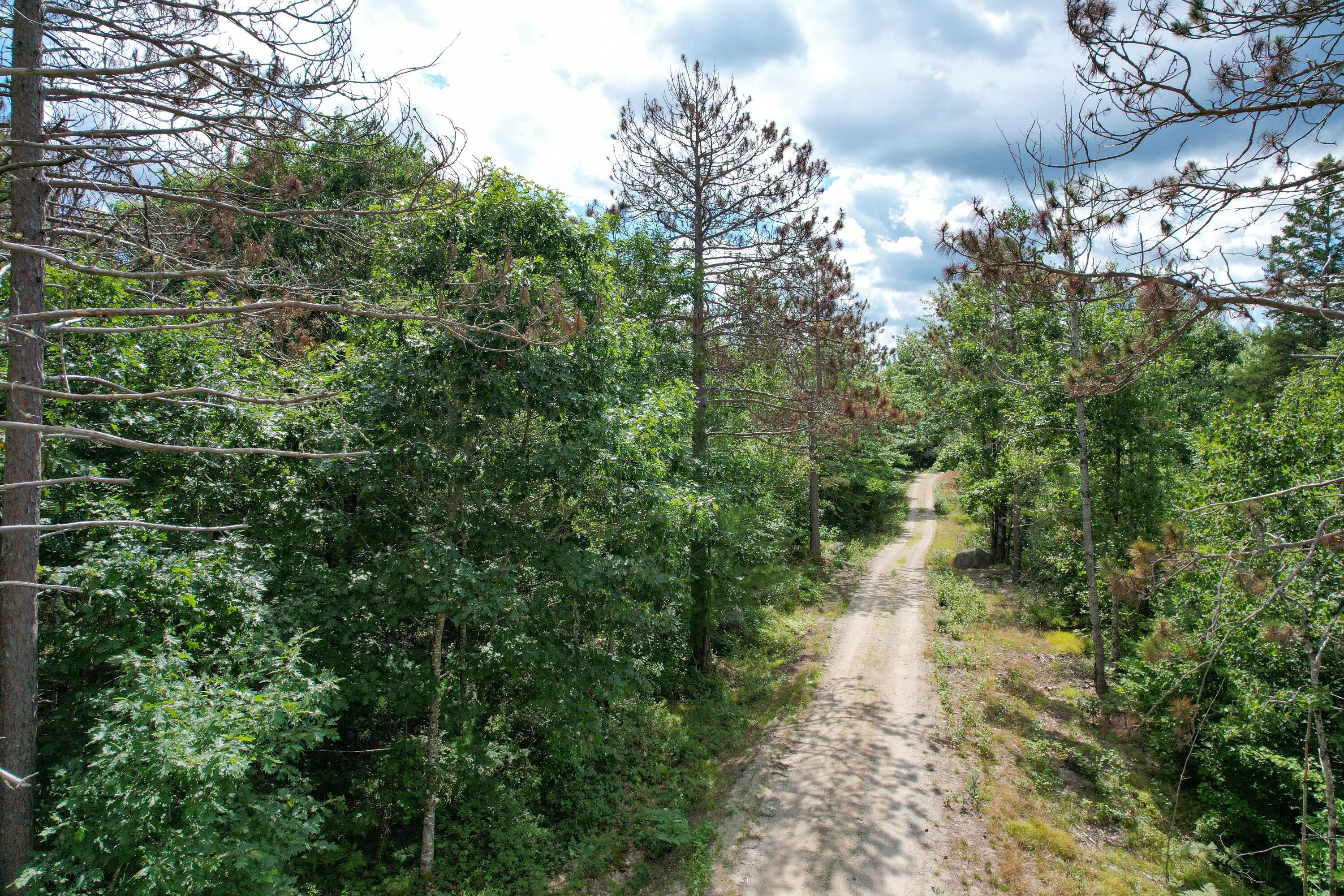 Lot 46 Lane Road Cherryfield ME 04622