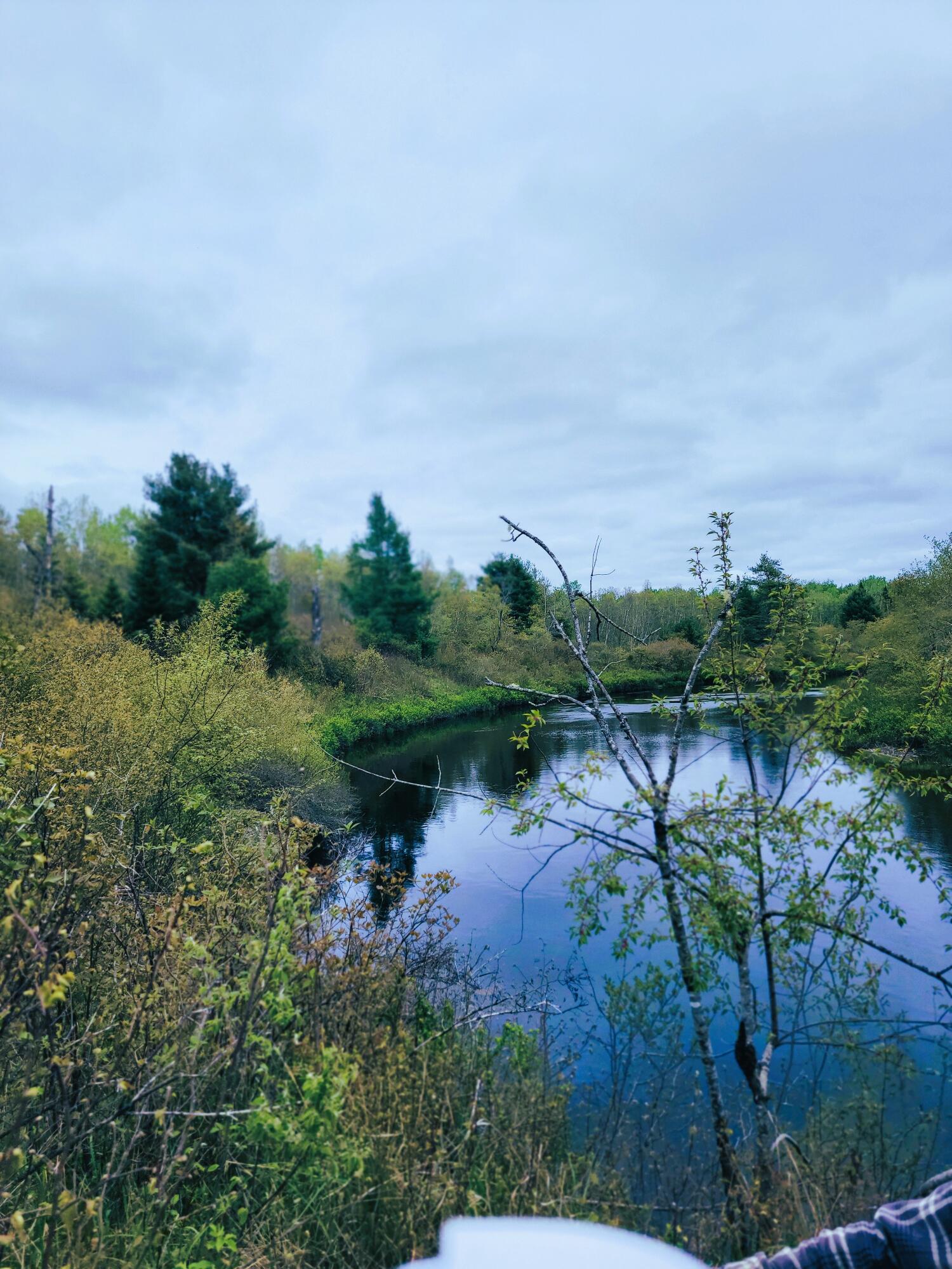 Lot 46 Lane Road Cherryfield ME 04622