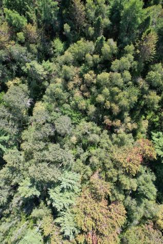 Lot 46 Lane Road Cherryfield ME 04622