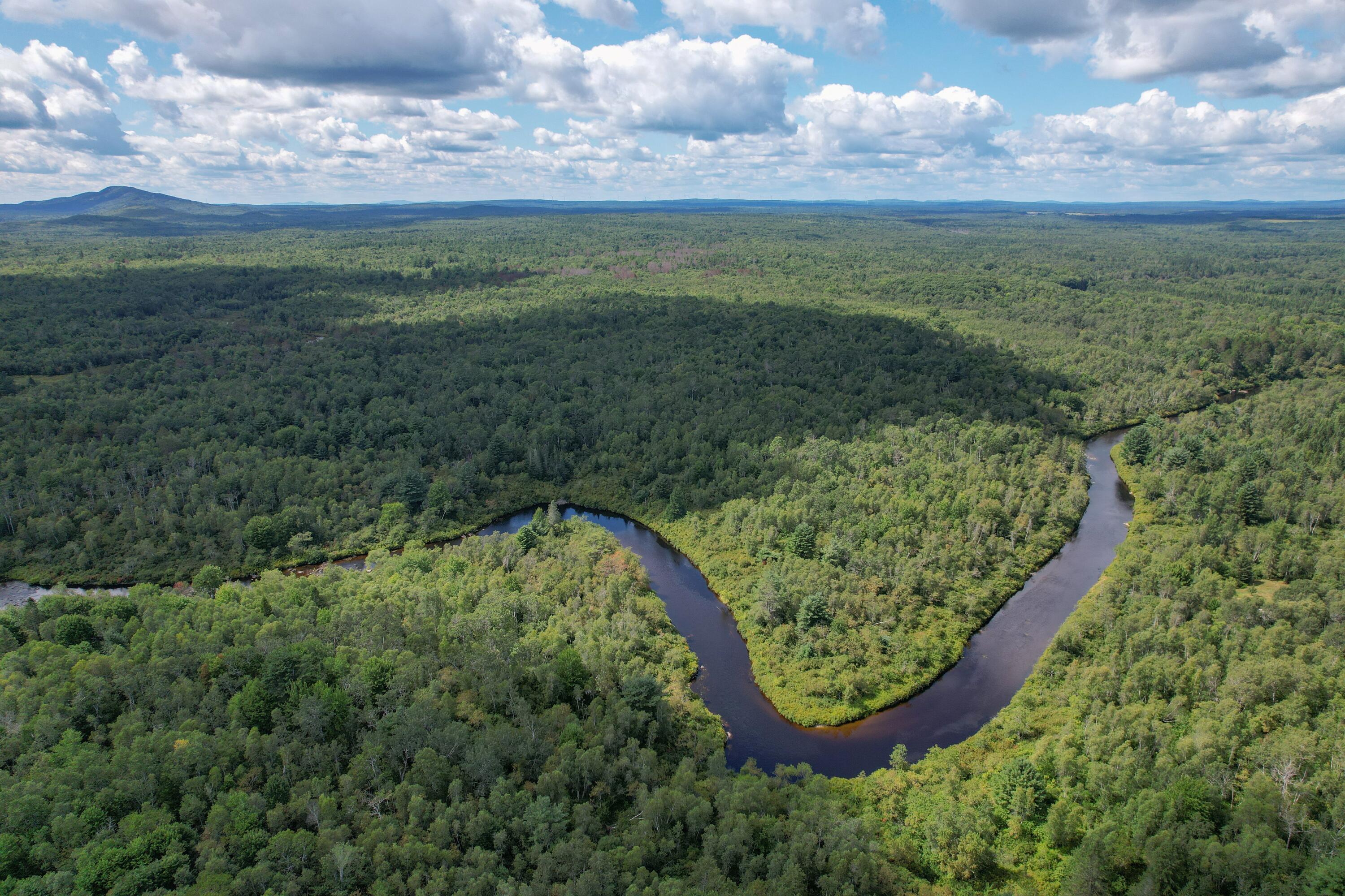 Lot 46 Lane Road Cherryfield ME 04622