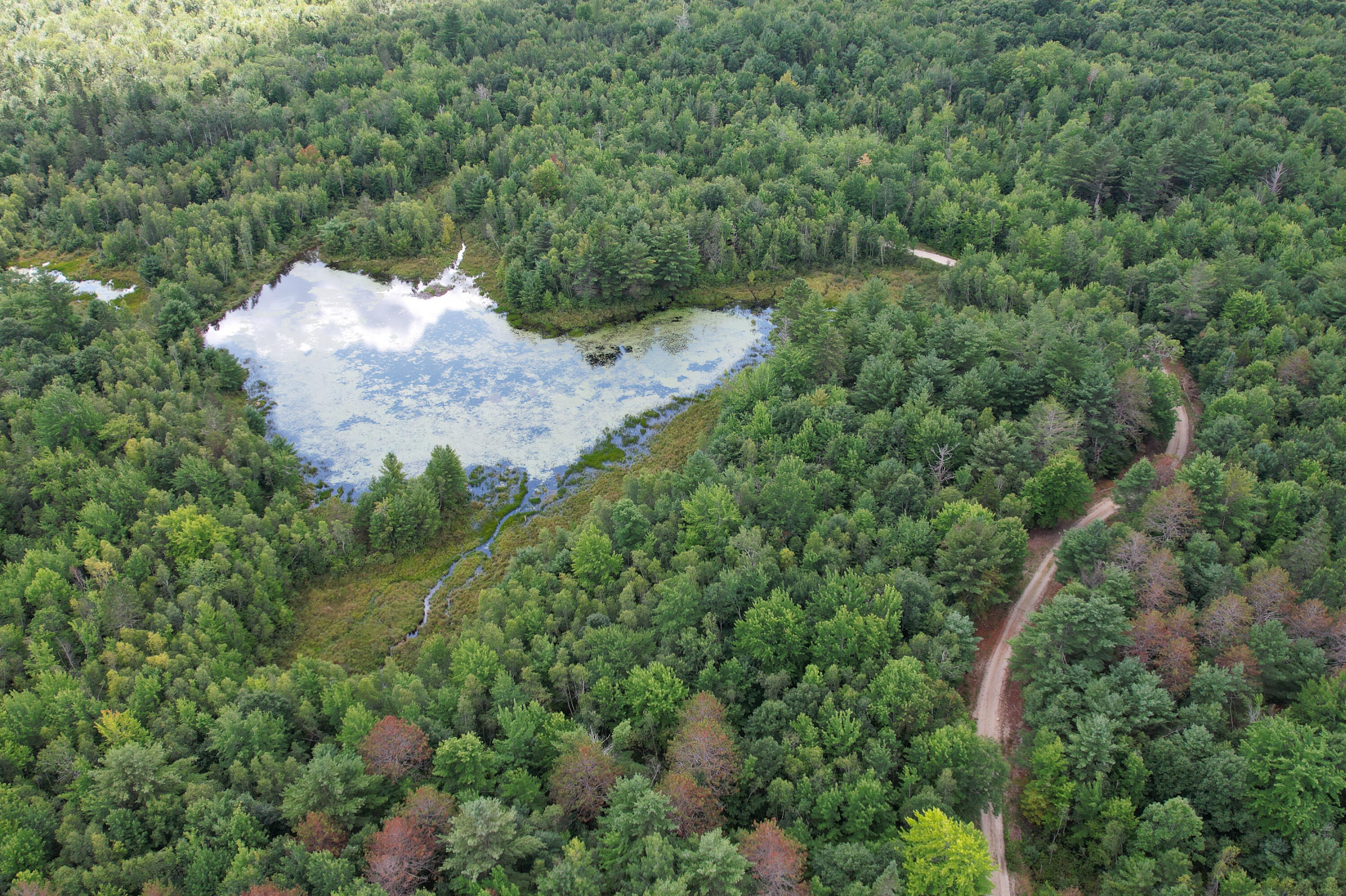Lot 46 Lane Road Cherryfield ME 04622