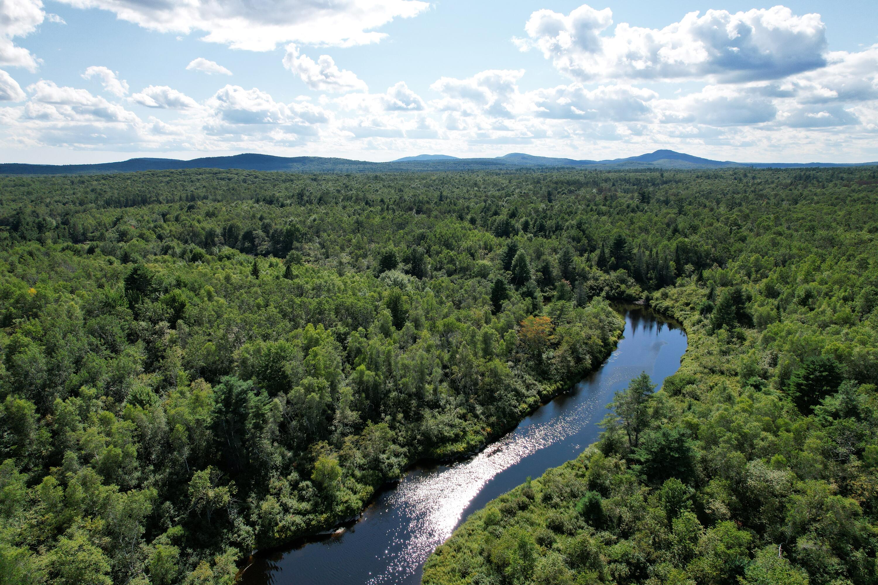 Lot 46 Lane Road Cherryfield ME 04622