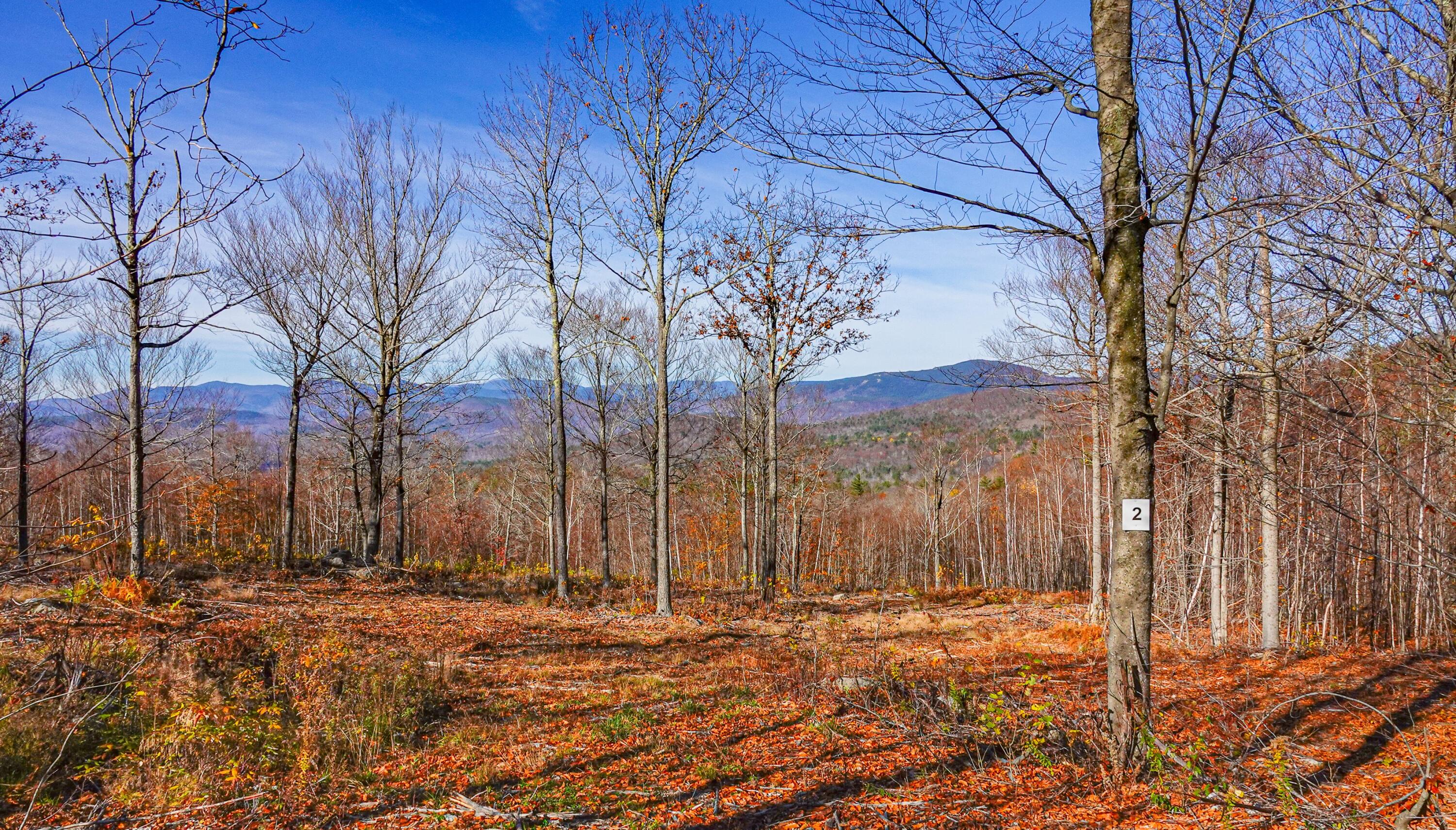 Lot 2 Mine Road Stoneham ME 04231