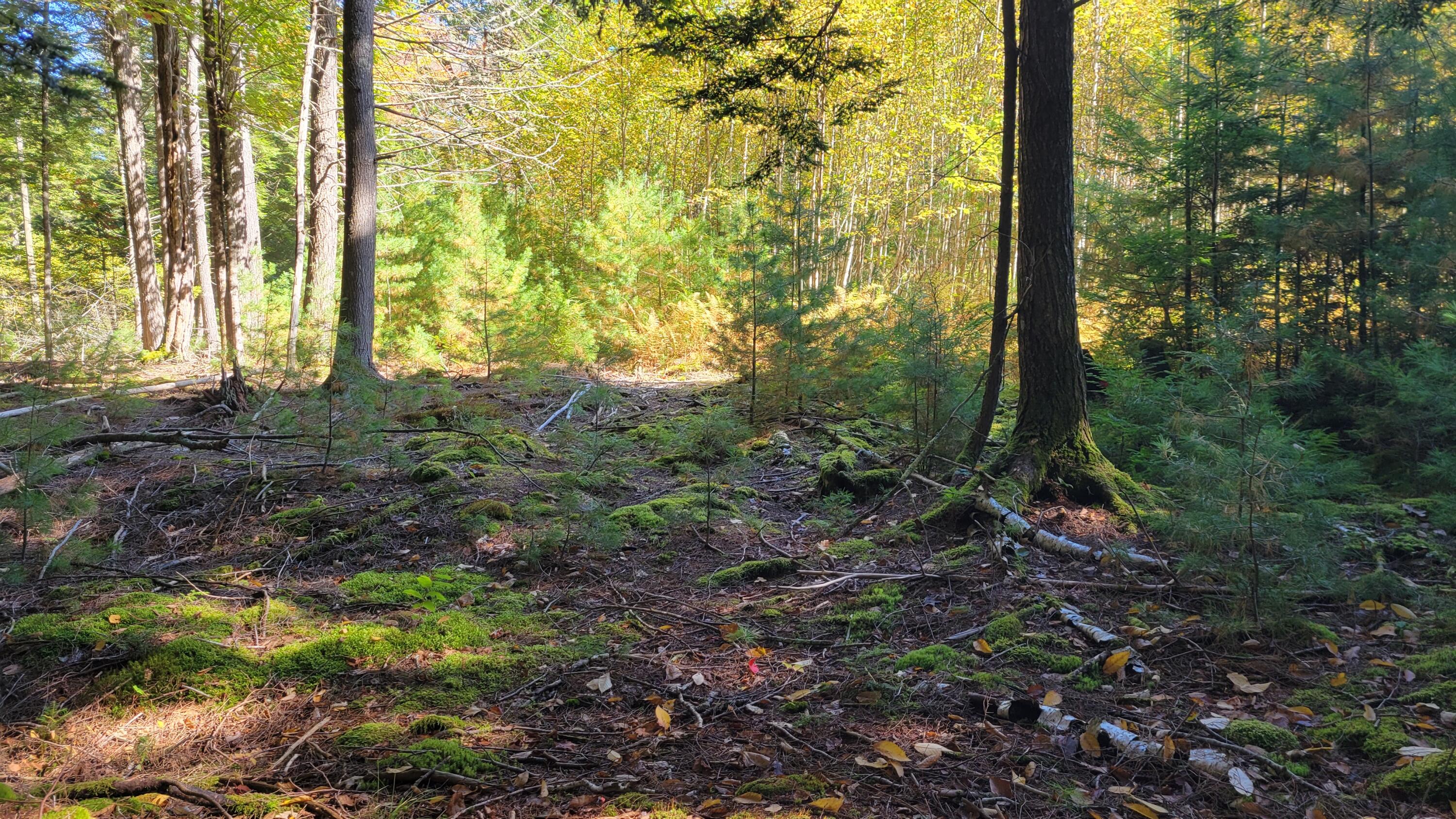 Lot 08 Sara's Way Bowdoinham ME 04008