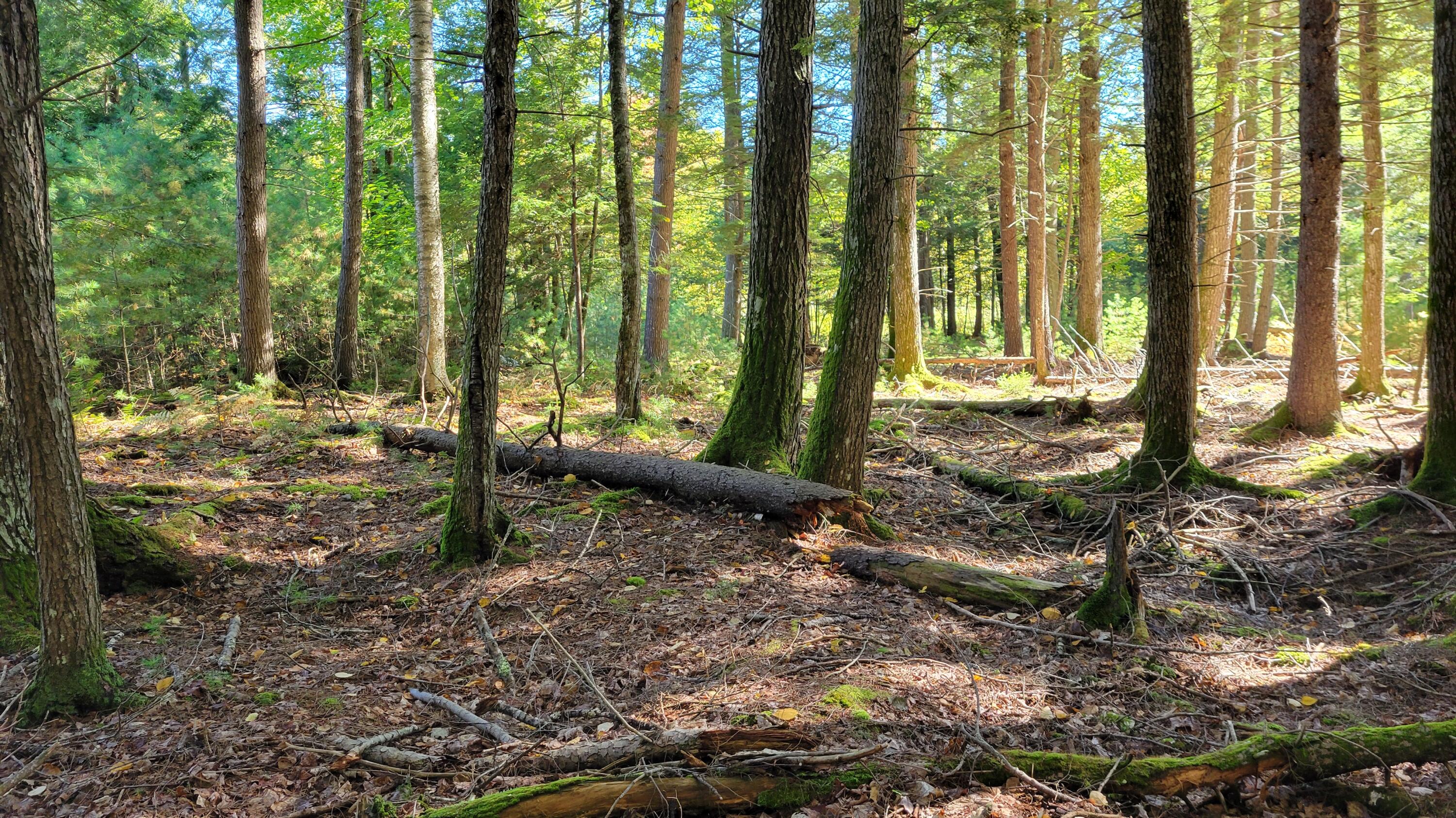 Lot 08 Sara's Way Bowdoinham ME 04008