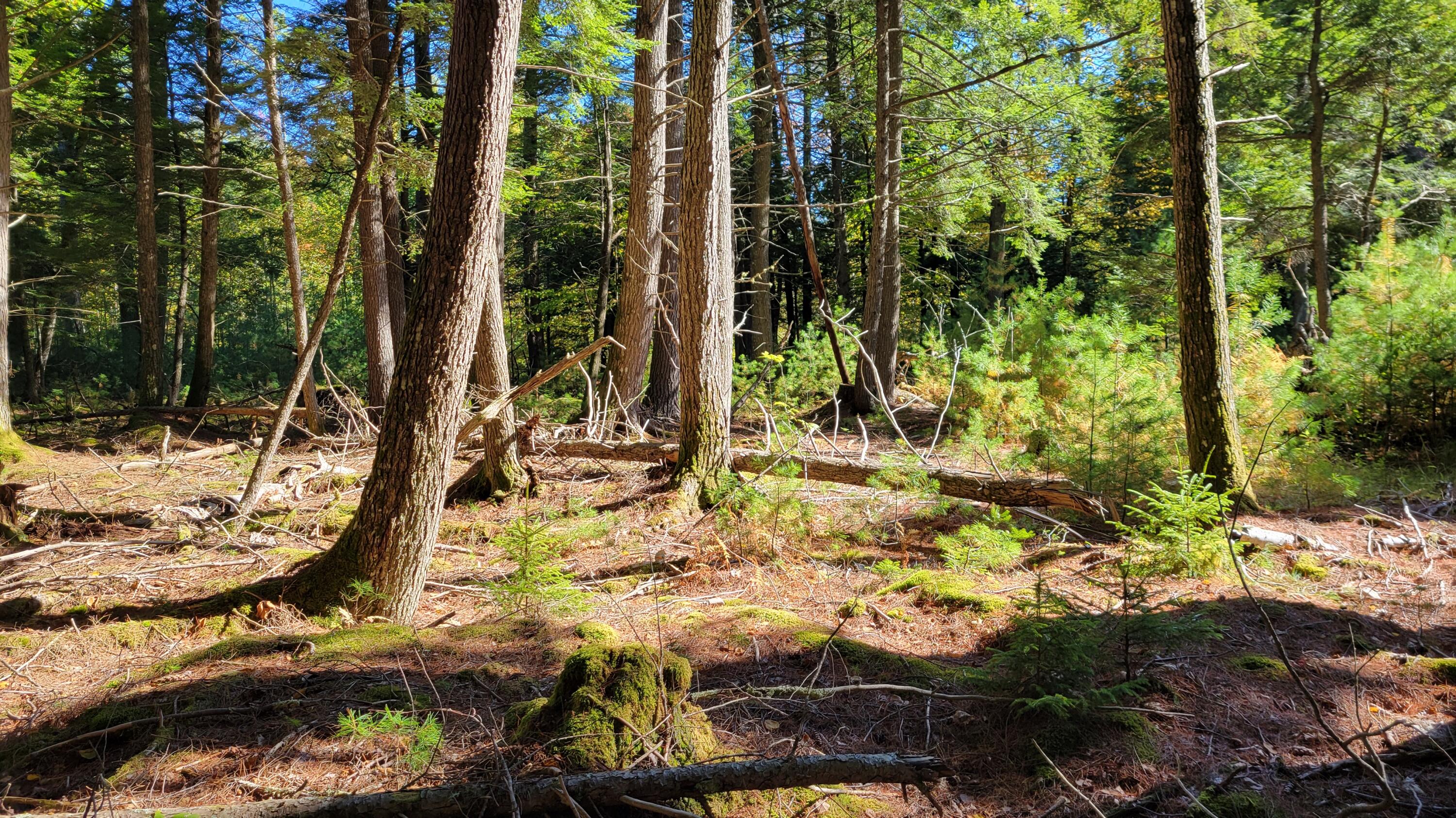 Lot 08 Sara's Way Bowdoinham ME 04008