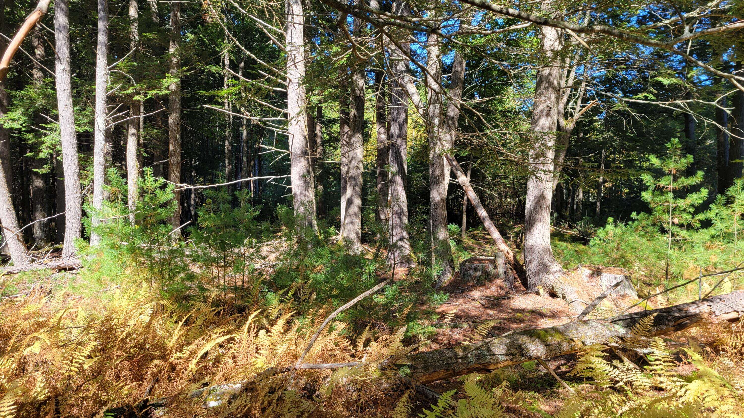 Lot 08 Sara's Way Bowdoinham ME 04008