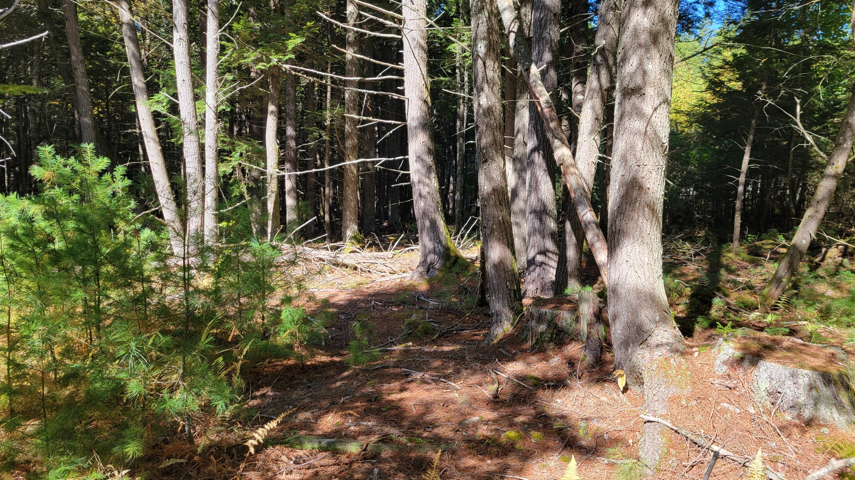 Lot 08 Sara's Way Bowdoinham ME 04008